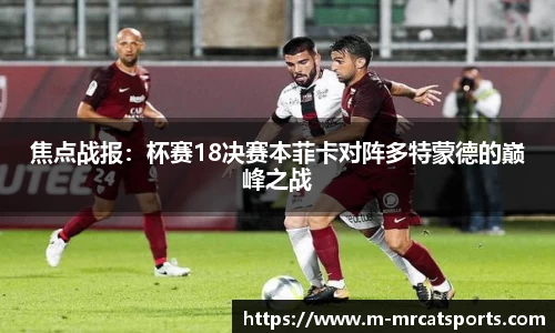 MRCAT猫先生体育官方网站